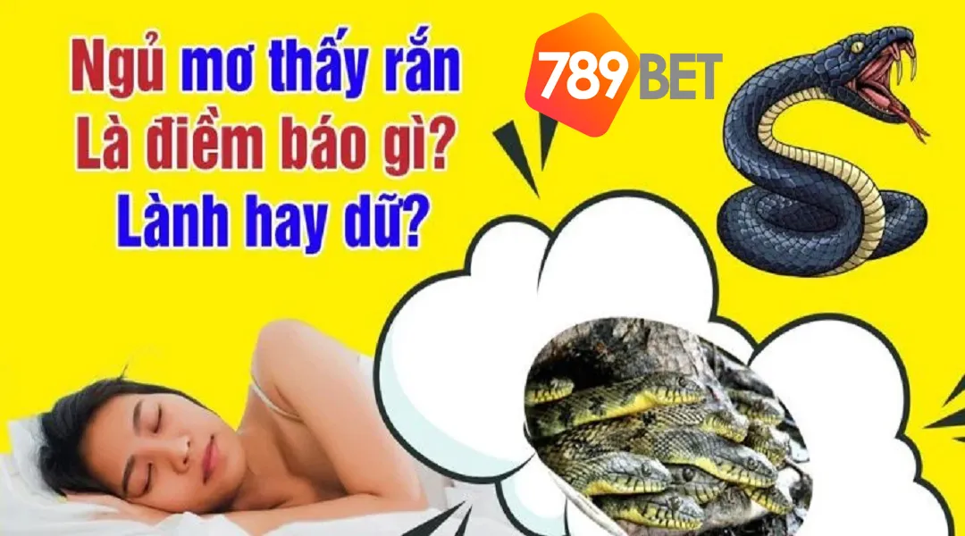 Bí ẩn mơ thấy nhiều rắn