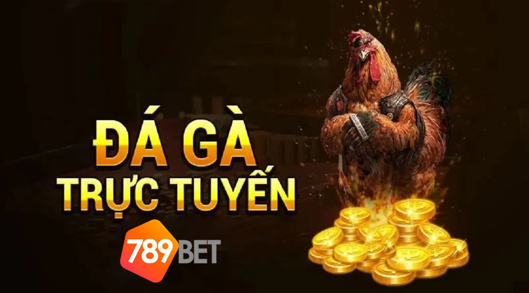 Đá gà C3 tại 789BET sở hữu hình ảnh đạt chuẩn
