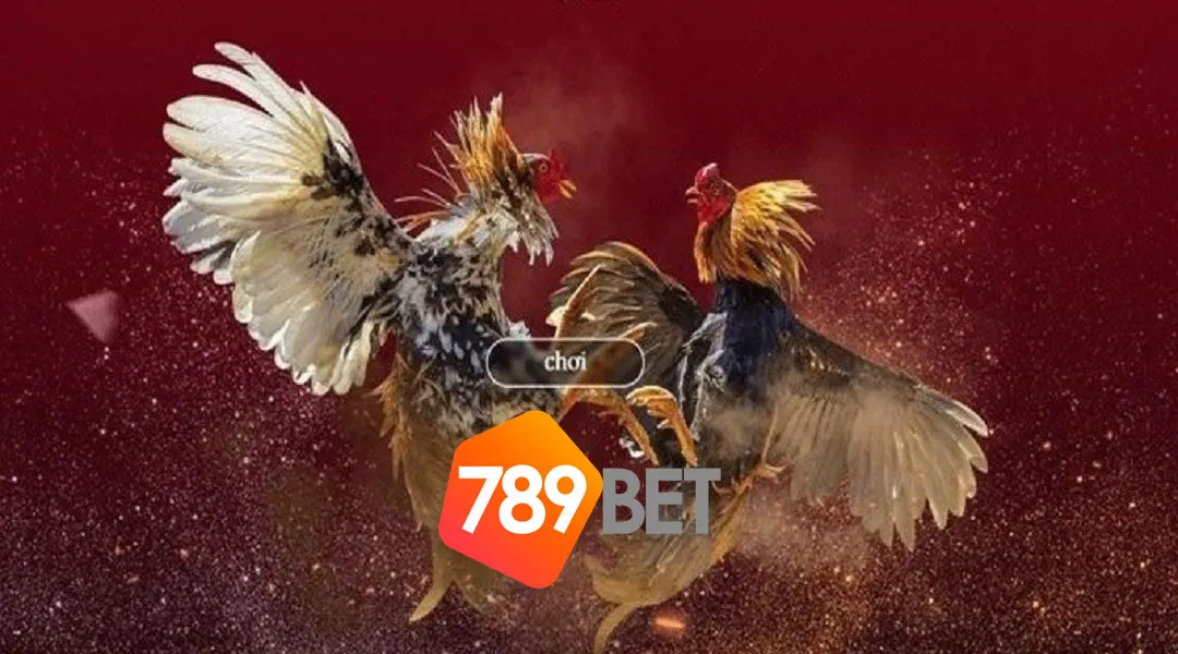 Hình thức chọi chấp của đá gà C3 tại 789BET
