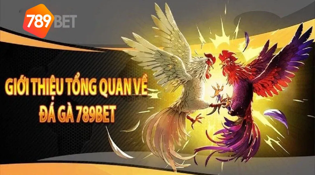 Khám Phá Đá Gà C3 Tại 789BET - Sân Chơi Cược Hoành Tráng