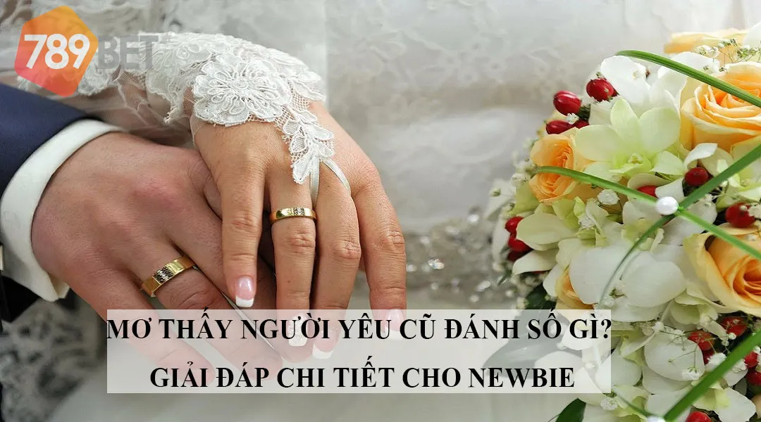 Mơ Thấy Người Yêu Cũ Đánh Số Gì Đạt Hiệu Quả Tốt Nhất