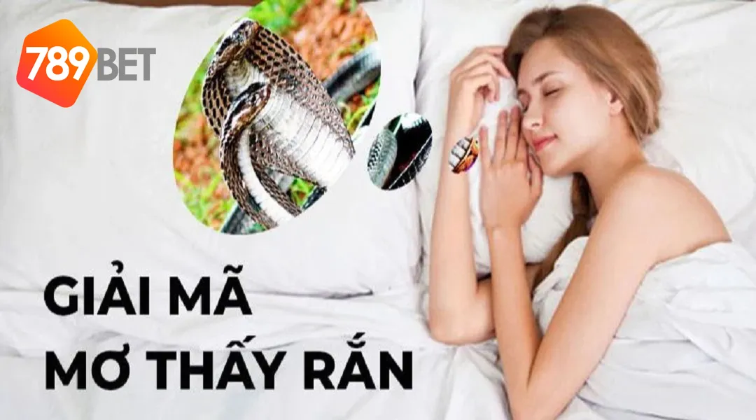 Mơ thấy rắn điềm gì cùng con số liên quan