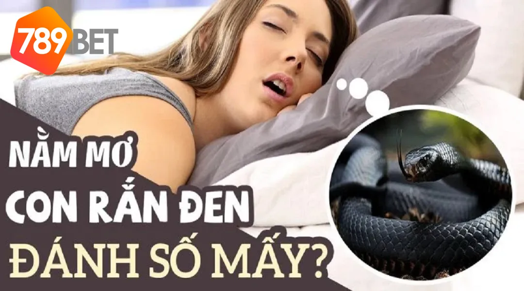 Mơ Thấy Rắn Điềm Gì? Liệu Đây Có Phải Điềm Xấu?